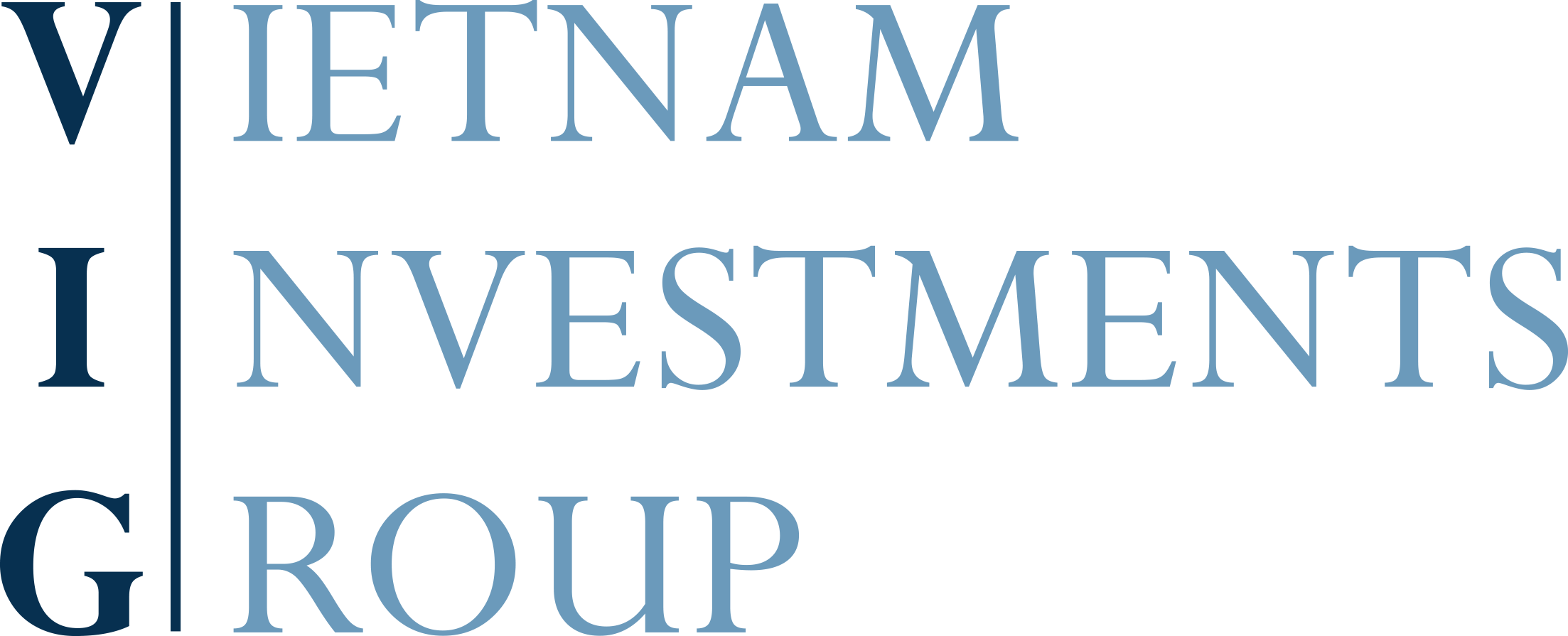 Vietnam Investments Group
